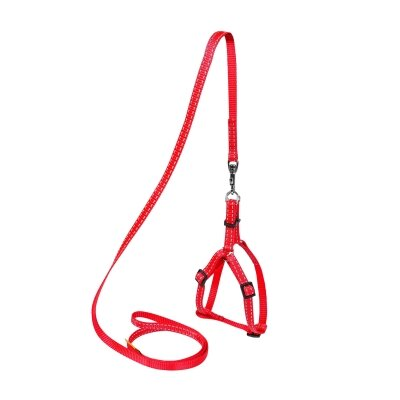 Шлея Collar DOG Extreme 07023 нейлон з повідцем, червоний, 10 мм * 28-40 см
