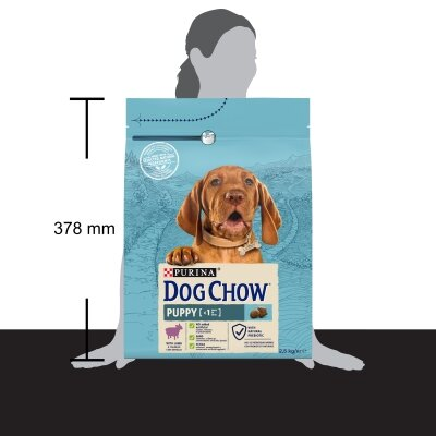 Корм сухий для цуценят Purina Dog Chow Puppy Lamb зі смаком ягняти, 2,5 кг