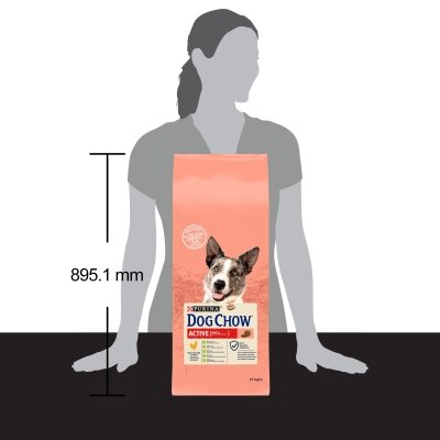 Корм сухий для дорослих активних собак Purina Dog Chow Active Adult зі смаком курки, 14 кг