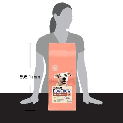 Корм сухий Purina Dog Chow Sensitive для дорослих собак із чутливим травленням, лосось, 14 кг