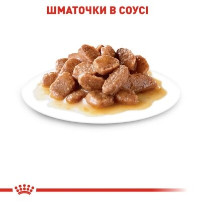 Корм вологий для стерилізованих кішок Royal Canin Sterilised Gravy від 1 року, шматочки в соусі, 85 г