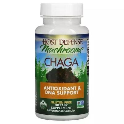 Гриб Чага Fungi Perfecti Chaga, 60 вегетаріанських капсул