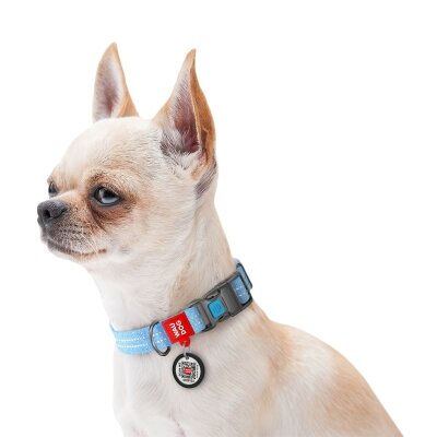Нашийник для собак Collar WAUDOG Re-cotton QR паспортом, з відновленої бавовни, пластикова пряжка, ширина 25 мм, довжина 31-49 см