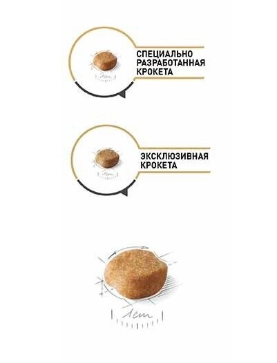 Корм сухий для собак Royal Canin Yorkshire Terrier Adult старше 10 місяців, 0,5 кг