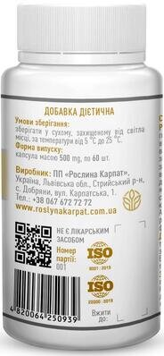 Лецитин Р.К. Рослина Карпат капсули по 500 мг №60