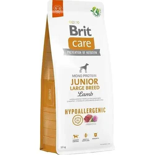 Корм сухий Brit Care Dog Hypoallergenic Junior Large Breed гіпоалергенний для молодих собак великих порід з ягням, 3 кг