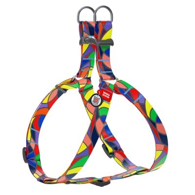 Шлея для собак Collar WAUDOG Nylon Вітраж, з QR паспортом ширина 25 мм, довжина 60-90 см