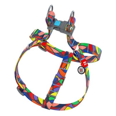 Шлея для собак Collar WAUDOG Nylon Вітраж, з QR паспортом ширина 25 мм, довжина 60-90 см