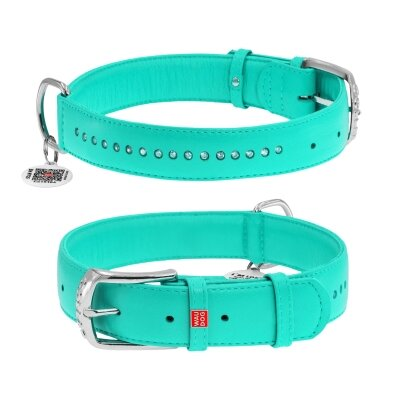Нашийник для собак Collar WAUDOG Glamour з QR паспортом, з клейовими стразами, ширина 15 мм довжина 27-36 см, м'ятний