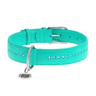 Нашийник для собак Collar WAUDOG Glamour з QR паспортом, з клейовими стразами, ширина 15 мм довжина 27-36 см, м'ятний