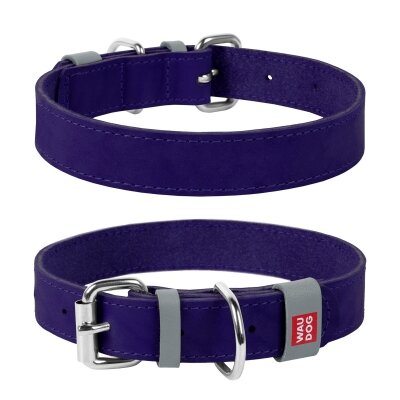 Нашийник для собак Collar WAUDOG Classic шкіряний, металева пряжка, ширина 12 мм, довжина 19-25 см, фіолетовий