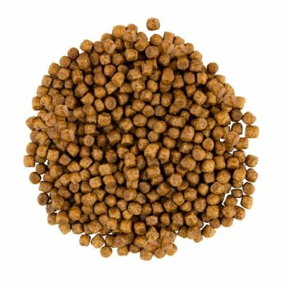 Корм сухий для кошенят Savory 30143 зі свіжим м'ясом індички та курки, 2 кг