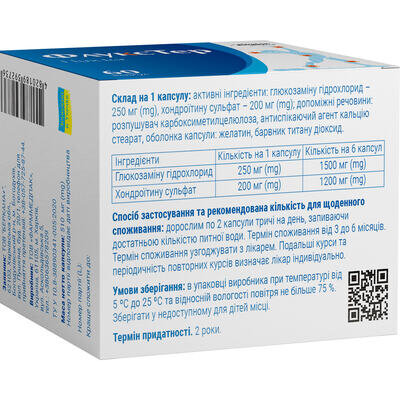 ФлуксТер Solution Pharm капсули №60