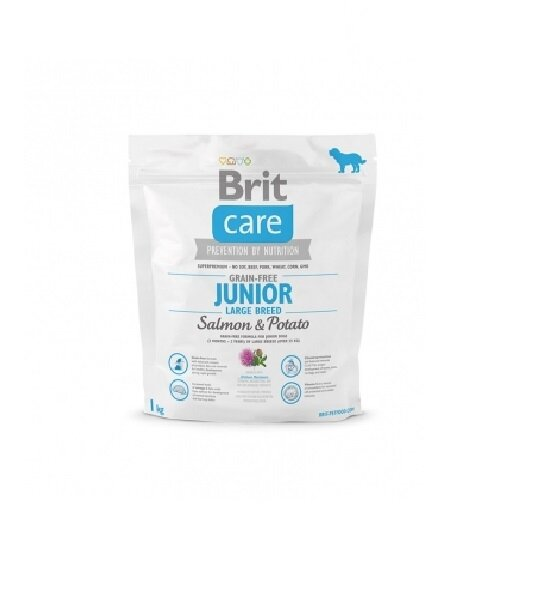 Корм сухий для цуценят гігантських порід Brit Care GF Junior Large Breed Salmon & Potato, 1 кг
