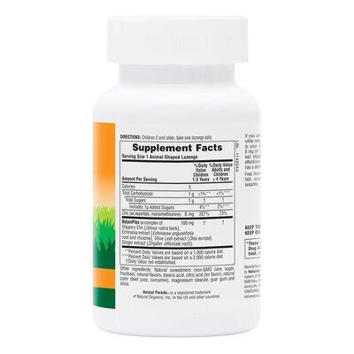 Цинк для дітей Nature's Plus Kid Zinc, 90 льодяників