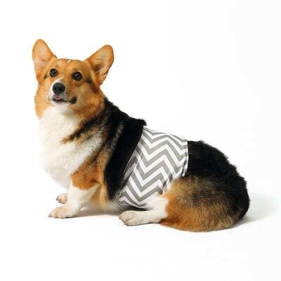 Підгузки M-Pets Washable Diapers Male Dog гігієнічні багаторазові для кобелів, розмір XS, 17,7-22,8 см
