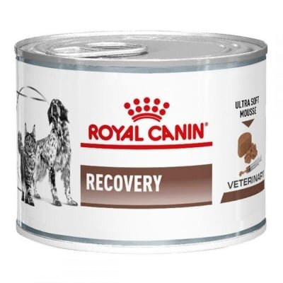 Корм вологий для кішок і собак Royal Canin Recovery Canine Feline в період відновлення після хвороби, 195 г