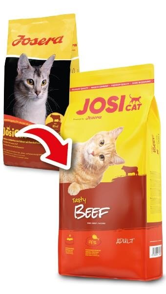 Корм сухий для дорослих котів Josera JosiCat Tasty Beef Rind з яловичиною, 650 г