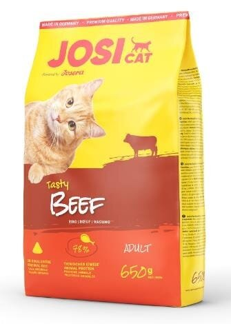 Корм сухий для дорослих котів Josera JosiCat Tasty Beef Rind з яловичиною, 650 г