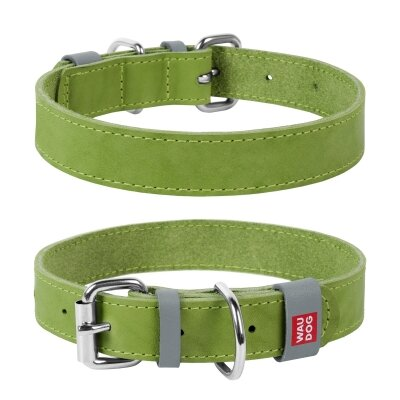 Нашийник для собак Collar WAUDOG Classic шкіряний, металева пряжка, ширина 20 мм, довжина 30-39 см, салатовий
