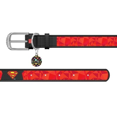 Нашийник Collar WAUDOG Design Супермен1, шкіряний, металева пряжка, ширина 12 мм, довжина 19-25 см, чорний