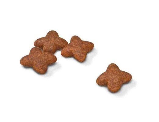 Корм сухий для собак Royal Canin Mini Adult, 2 кг