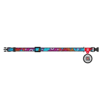 Нашийник для кішок Collar WAUDOG Nylon Літо, ширина 10 мм, довжина 20-30 см