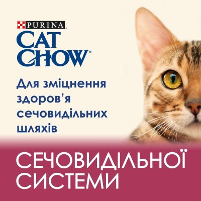 Корм сухий для кішок Purina Cat Chow Urinary Tract Health з куркою, 15 кг