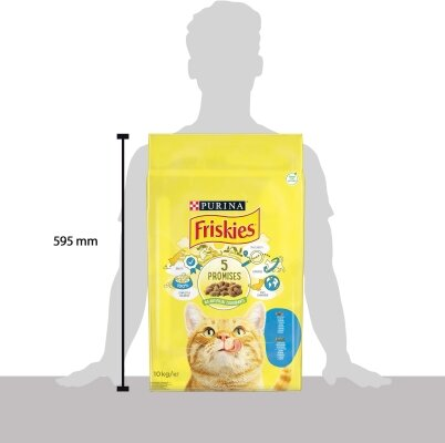 Корм сухий для кішок Purina Friskies зі смаком лосося і овочів, 10 кг