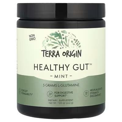 Комплекс для нормальної роботи ШКТ Terra Origin Healthy Gut зі смаком м'яти, 243 г