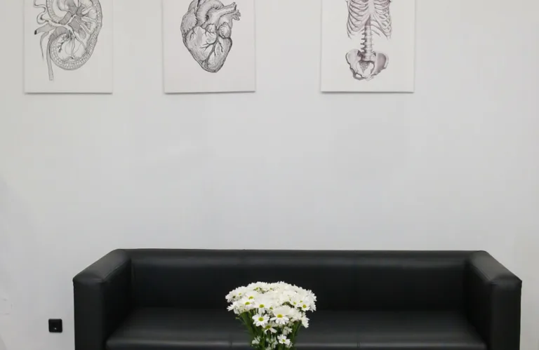 Anatomia здоров'я