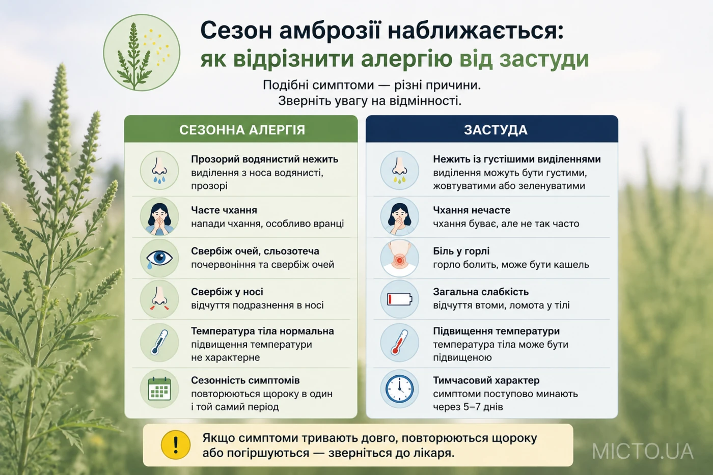 Сезон цвітіння амброзії наближається: як відрізнити алергію від застуди