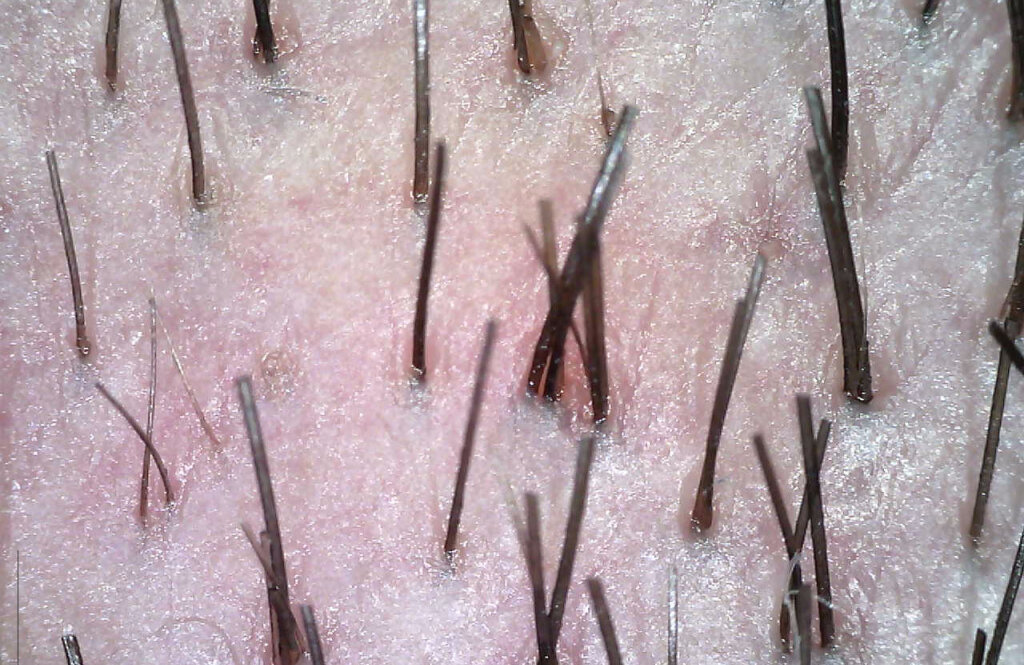 Дерматологія плюс