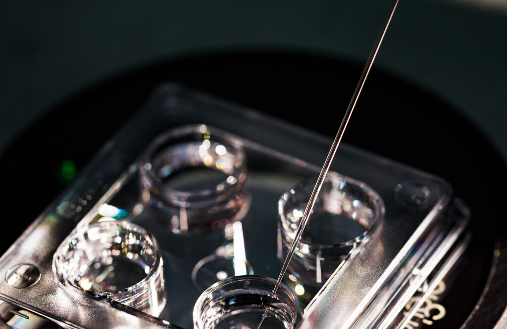 Reprolife (Репролайф) на вул. Шумського