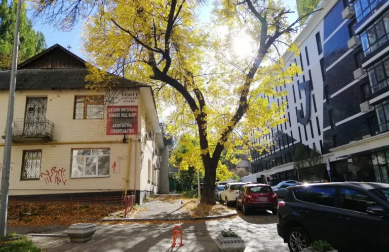 Приватний кабінет психолога