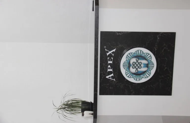Стоматологічна клініка ApeX