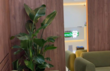 Стоматологічна клініка Eurodental (Green)