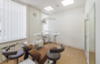 Ukrainian Dentist Club