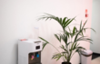 ENDOEXPERT
