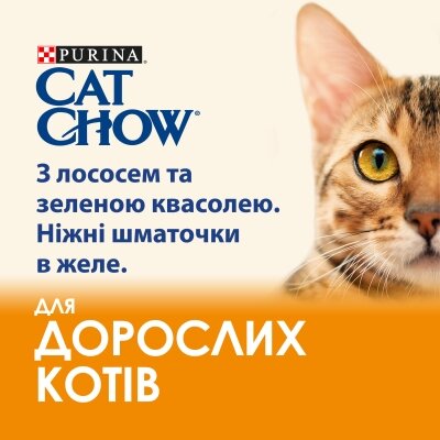 Корм вологий для дорослих кішок Purina Cat Chow Adult з лососем та зеленою квасолею в желе, 85 г