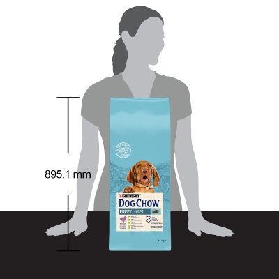 Корм сухий для цуценят Purina Dog Chow Puppy Lamb зі смаком ягняти, 14 кг