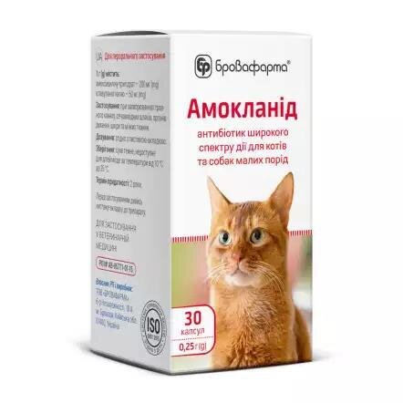 Амокланід (ДЛЯ ТВАРИН) капсули по 0,25 г, 30 штук