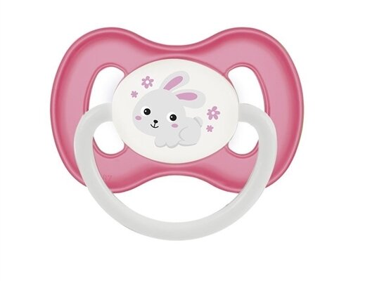 Пустушка силіконова Canpol Babies Bunny & Company симетрична 23/270_pin, 18+ місяців, 1 шт