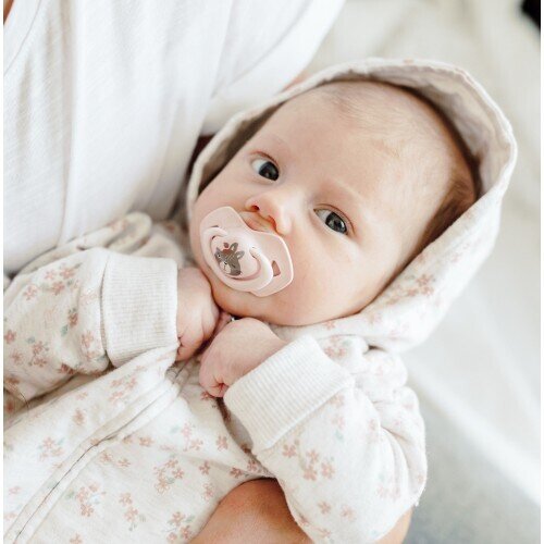 Пустушка силіконова Canpol Babies Bonjour Paris симетрична 22/648_pin, 6-18 місяців, 2 шт