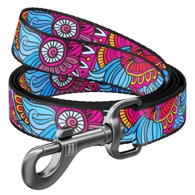Повідець Collar WAUDOG Nylon малюнок Літо, ширина 15 мм довжина 122 см