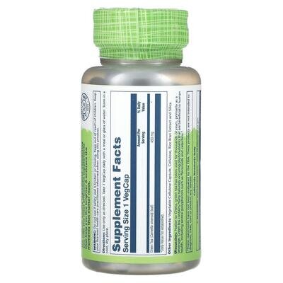 Зелений чай Solaray Green Tea 450 мг, 100 вегетаріанських капсул