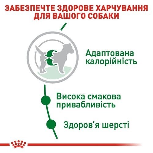 Корм сухий для собак Royal Canin Mini Adult, 4 кг