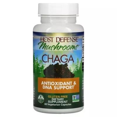 Гриб Чага Fungi Perfecti Chaga, 60 вегетаріанських капсул
