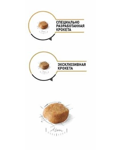 Корм сухий для собак Royal Canin Yorkshire Terrier Adult старше 10 місяців, 0,5 кг