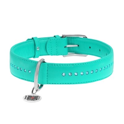 Нашийник для собак Collar WAUDOG Glamour з QR паспортом, з клейовими стразами, ширина 15 мм довжина 27-36 см, м'ятний